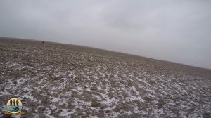 Охота на зайца в крыму. Бекас авто ВПО 201 м.  ИЖ 18