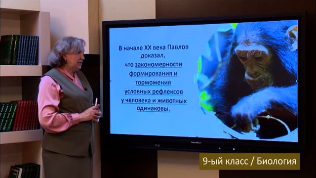 “Dərs vaxtı”: 9-cu sinif dərsləri (rus bölməsi) (29.04.2022) смотреть онлайн