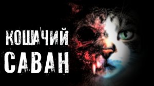 Страшные Истории. КОШАЧИЙ САВАН. Ужасы.