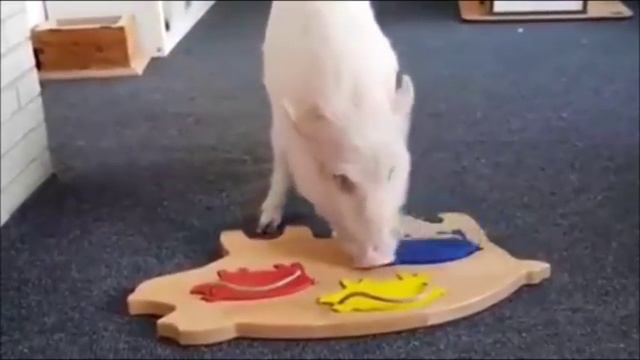 Ах, какие же они умняшки!.. смотреть онлайн