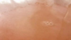 Вылупились рачки Артемии процеживаем и кормим рыб.