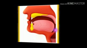 Махрадж буквы ء ه ع ح غ خ