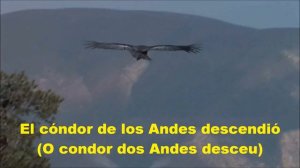 EL CÓNDOR PASA (letra e vídeo) com PLÁCIDO DOMINGO, vídeo MOACIR SILVEIRA