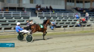 ДЕЛО ВЕДЕТ МУР-Р-Р  (17 мая 2022)