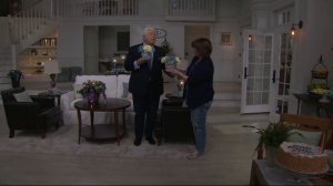 Dennis Basso Illuminated Vase with Faux Hydrangea Arrangement on QVC