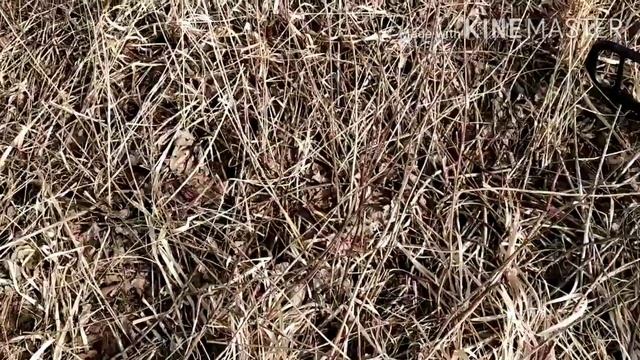 БОБРОВАЯ РЕКА. КОП МЕТАЛЛА смотреть онлайн