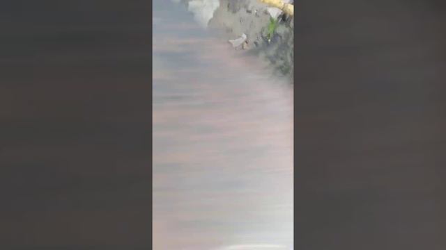 ММ,НАСТЯ КОВШ Я ТВОЯ ТУПАЯ ФОНАТКА ИЗ СРАЙКА😍😍😍😍💗💗💗💗💗😘😘😘😘💞💞💞💞💘💘💘❤❣💟💕💖💕💕💖💖 смотреть онлайн