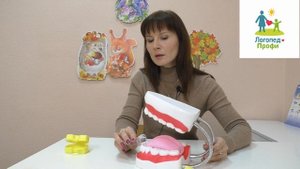 Как заниматься с вестибулярной пластинкой с бусинкой