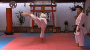 ?Cómo hacer URA MAWASHI GERI / SHOTOKAN