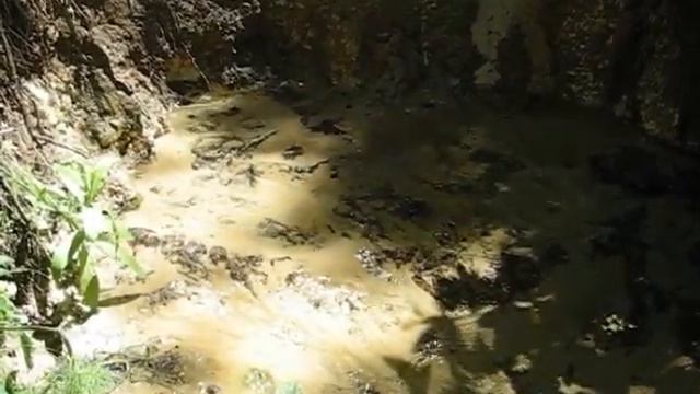 2015.06.06 Криница в Узруе Черниговской обл. смотреть онлайн