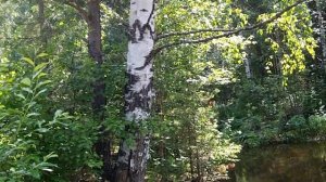 Павда, Свердловская область. Путешествие с центром "Аржаан". Места силы Северного Урала