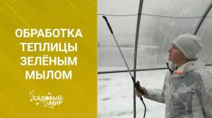 Чем помыть теплицу после сезона.   Обработка теплицы зелёным мылом