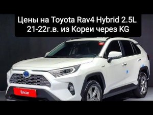 Цены на Toyota RAV4 21-22г.в. 2.5Hyb. из Кореи.Ежедневный обзор цен на автомобили из Японии, Кореи.
