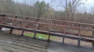 How we changed our lives. Canada.Заводим дружду с синичками.Как приручить синиц.