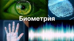 Биология как наука. Методы биологии.