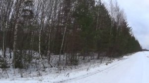 Охота на зайца с Русскими гончими 26 ноября 2021