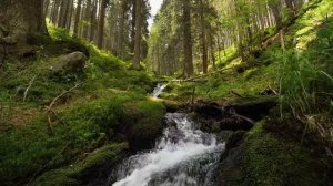 моцарт лучшее | Лучшая расслабляющая классическая музыка Моцарта | Красивые природные пейзажи ?