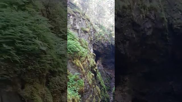 Парк Оленьи ручьи. Пещера Большой провал.
