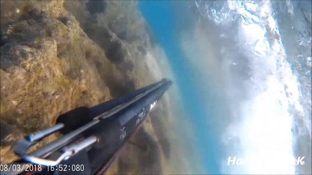 Zıpkın Avı -25 Balık Avları (Hasan Kayak) Adana/Yumurtalık смотреть онлайн