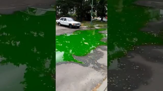 Лужа со странной водой! Что это?