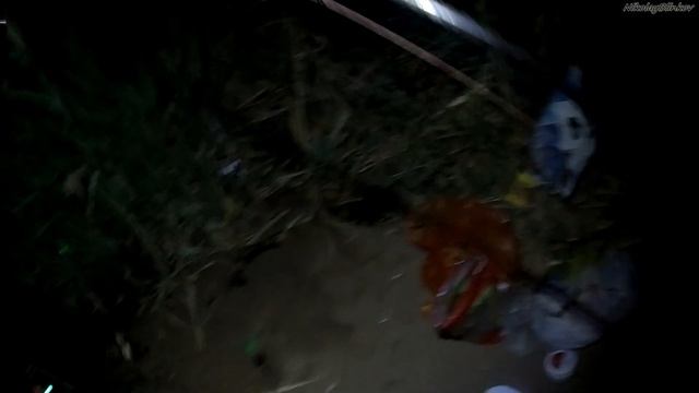 ВОДА КИПИТ! ЛОВЛЯ КРУПНОГО КАРАСЯ КАК Я ГОТОВЛЮ БОЛТУШКУ/МУКА+ЧЕСНОК гАктобе рИлек 09 2020г смотреть онлайн