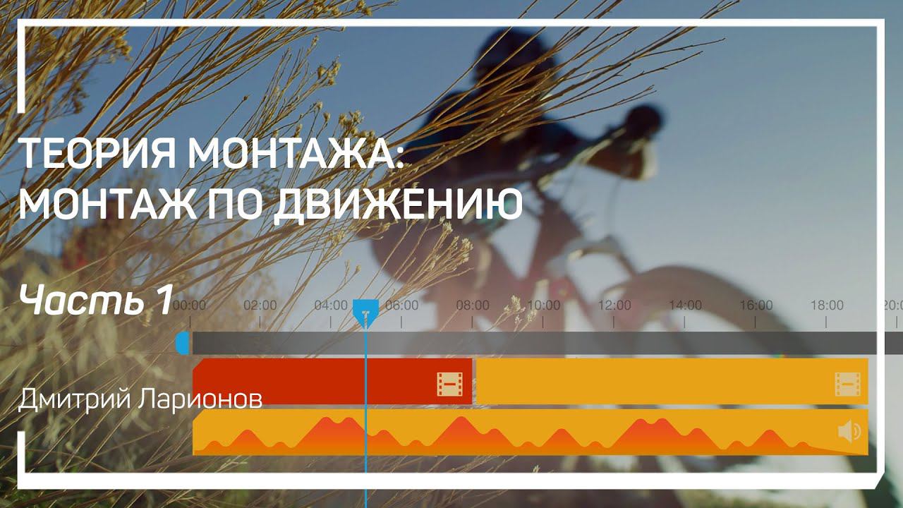 Монтаж по фазе движения. Теория монтажа: монтаж по движению. Дмитрий Ларионов