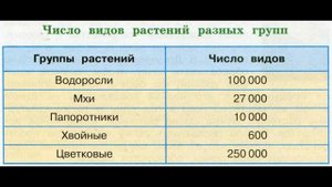 Окружающий мир 3 класс ч.1, тема урока "Мир растений", с.78-81, Перспектива.