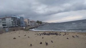 Обзор города Бурса?? ВЛОГ