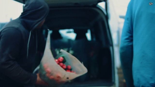 Теплица на солнечных батареях от Умной Энергии.
