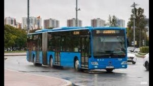 Информатор автобуса 39 экспресс СПБ - станция метро Московская аэропорт Пулково, туда и обратно
