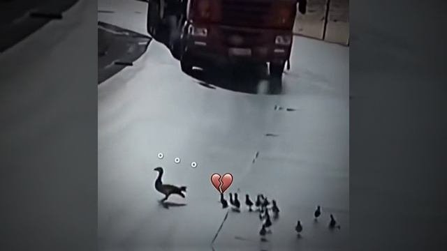 VID