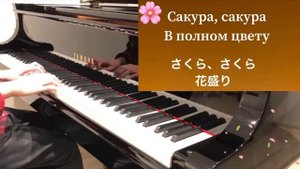 Фортепиано. Японская народная песня. Сакура Сакура/ ピアノ演奏。日本民謡。さくらさくら