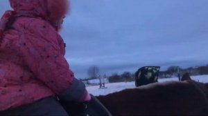 Влог!! Лошадь Честер...Прогулка в новом 2021 на лошадях!!катаемся верхом первый раз 🐎