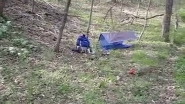 2013 mushroom hunt base camp смотреть онлайн