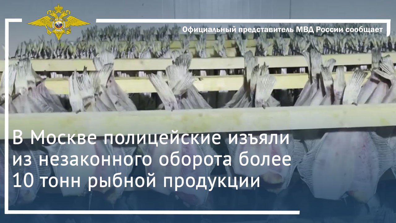 В Москве полицейские изъяли из незаконного оборота более 10 тонн рыбной продукции