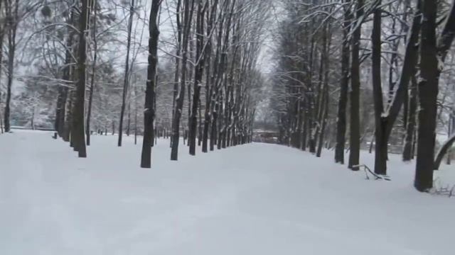 Щучин. Зимняя прогулка в парк. смотреть онлайн