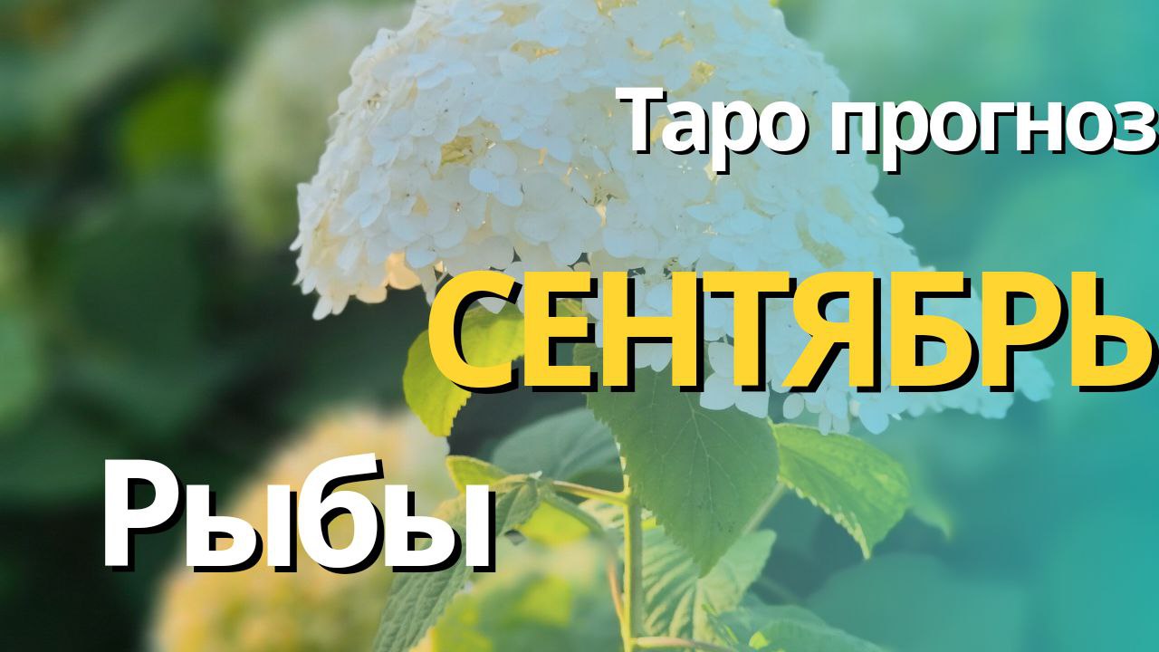 РЫБЫ СЕНТЯБРЬ 2023 [Таро прогноз]