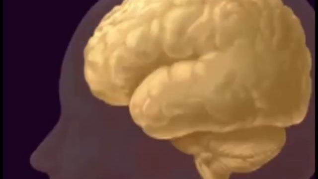 Павловская РБ Социальный ролик смотреть онлайн