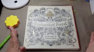 Челлендж целый месяц раскрашиваем раскраски Джоанны Бэсфорд /Совместное раскрашивание