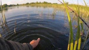 Обзор воблера TsuYoki Sanitar 125F. Тест летними щуками 🎣🎣🎣