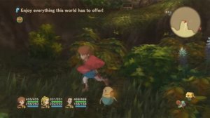 Ni No Kuni: POST GAME: South of Ding Dong Dell Hidden Green Chest/ Errand 131 Location