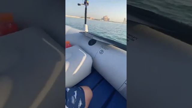 7 YEAR OLD CATCHES SHARK FISHING IN DUBAI!