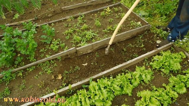 Плоскорез для дорожек. Удаляем сорняк с дорожек между грядок, смотреть онлайн