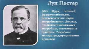 История развития анатомии