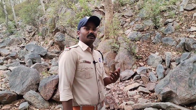 Forest guard Full information 👍 | Salary, Duty time, exam, quarter, Pramotion 🔥 смотреть онлайн