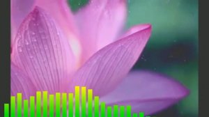 Мантра любви очень мощная. Открой свое сердце для любви и радости!