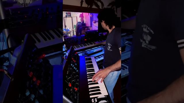 Minimoog Model D 2022, LINNDRUM, and Prophet 5