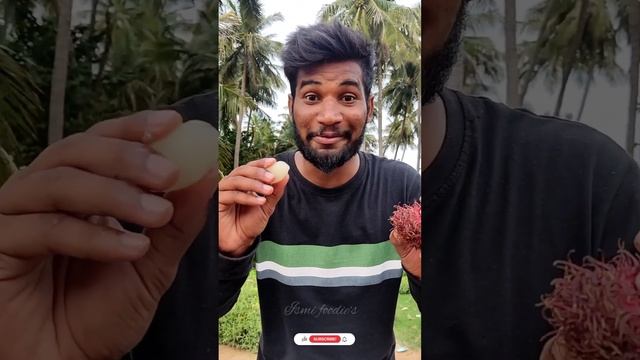 Kodaikanal Fruits???? ?? Rambutan & Lichi #shorts #friut #kodaikanal #youtube #ismifoodies