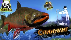 РР4/ рыбалка для души, ловим как универсал, общаемся 10.05.23