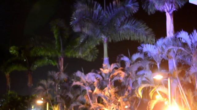 Mis 15 años - Danet Milena Castro Posligua смотреть онлайн